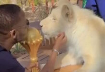 senegal 1 1200x630.jpg