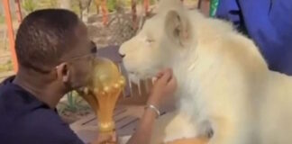 senegal 1 1200x630.jpg