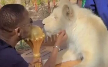 senegal 1 1200x630.jpg