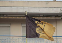 simaia aris 1200x630.jpg