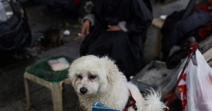 skilos 1200x630.jpg skilos 1200x630.jpg