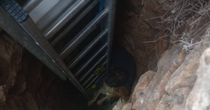 skylos pigadi 1 1200x630.jpg