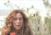 sofia fasoulaki livanos 1200x630.jpg