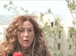 sofia fasoulaki livanos 1200x630.jpg