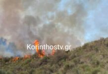 sofiana korinthos fotia korinthostv gr 1200x630.jpg