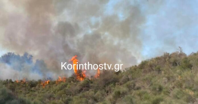 sofiana korinthos fotia korinthostv gr 1200x630.jpg