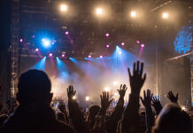 synaylia kosmos 500x334.jpg