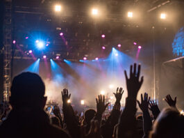 synaylia kosmos 500x334.jpg