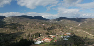 tatoi.jpg