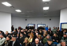 tempi diki eurok 1200x630.jpg