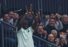 tetei 2 1200x630.jpg