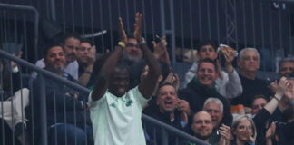 tetei 2 1200x630.jpg