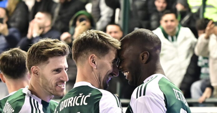 tetei djurisic panathinaikos 1200x630.jpg