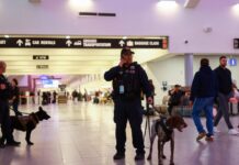 texas police 1200x630.jpg