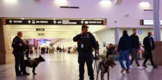 texas police 1200x630.jpg