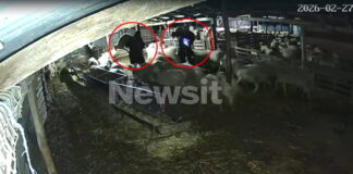 thessalomiki arnia 1200x630.jpg