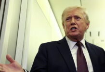 trump 11 1200x630.jpg