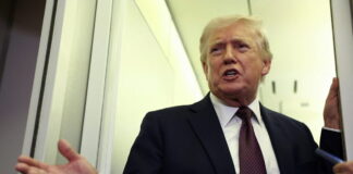 trump 11 1200x630.jpg