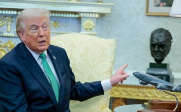 trump 15 1200x630.jpg