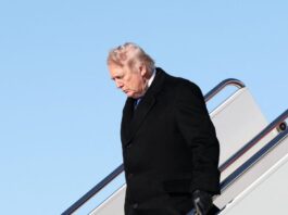 trump 2 9 1200x630.jpg