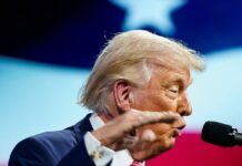 trump 25 1200x630.jpg