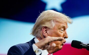 trump 25 1200x630.jpg