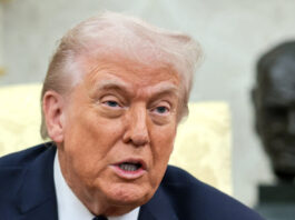 trump 3 1200x630.jpg