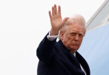 trump 5 1 1200x630.jpg