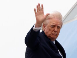 trump 5 1 1200x630.jpg