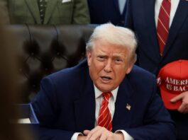 trump 5 1200x630.jpg