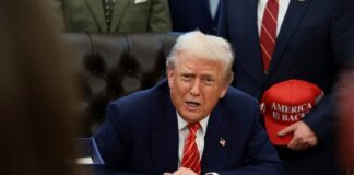 trump 5 1200x630.jpg