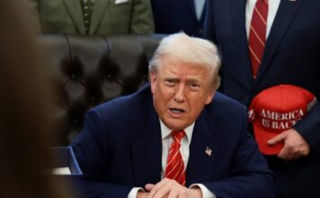 trump 5 1200x630.jpg