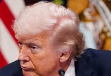 trump 7 1200x630.jpg