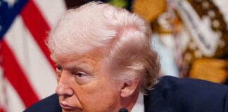 trump 7 1200x630.jpg