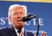 trump 8 1200x630.jpg