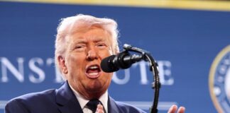 trump 8 1200x630.jpg