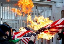 trump protests 1 1200x630.jpg