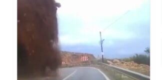 turkey x 1 1200x630.jpg