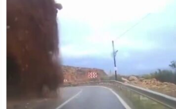 turkey x 1 1200x630.jpg