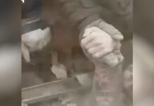 ukraine russia xeri 1200x630.jpg