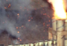 veggalika 09032026 1200x630.jpg