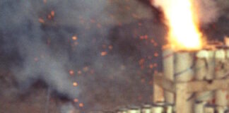 veggalika 09032026 1200x630.jpg