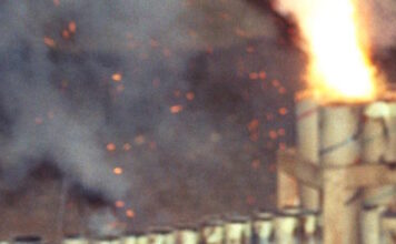 veggalika 09032026 1200x630.jpg