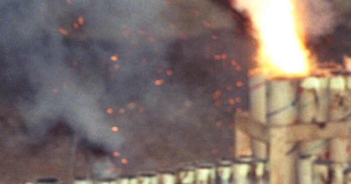 veggalika 09032026 1200x630.jpg