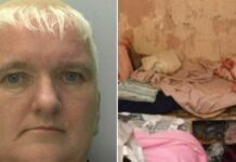 vretania 1 1 1200x630.jpg