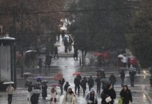 vroxi 2 1 1200x630.jpg