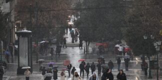 vroxi 2 1 1200x630.jpg