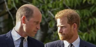 wiliam harry 1200x630.jpg