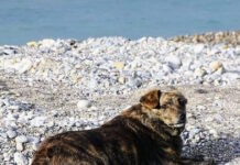 xatsiko palioxwras 19032026 1200x630.jpg