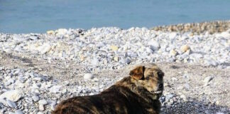 xatsiko palioxwras 19032026 1200x630.jpg